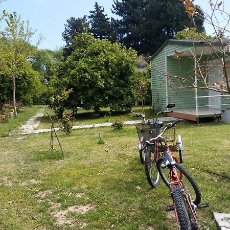 Sakli Bahce Pension Çıralı Exteriér fotografie