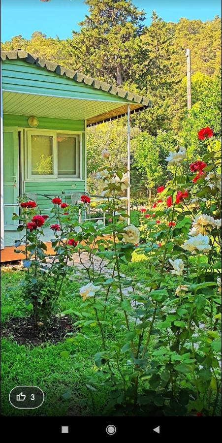 Sakli Bahce Pension Çıralı Exteriér fotografie