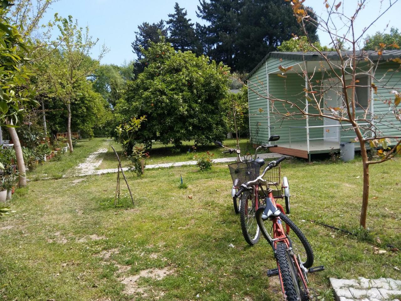 Sakli Bahce Pension Çıralı Exteriér fotografie