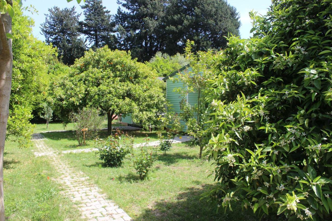 Sakli Bahce Pension Çıralı Exteriér fotografie