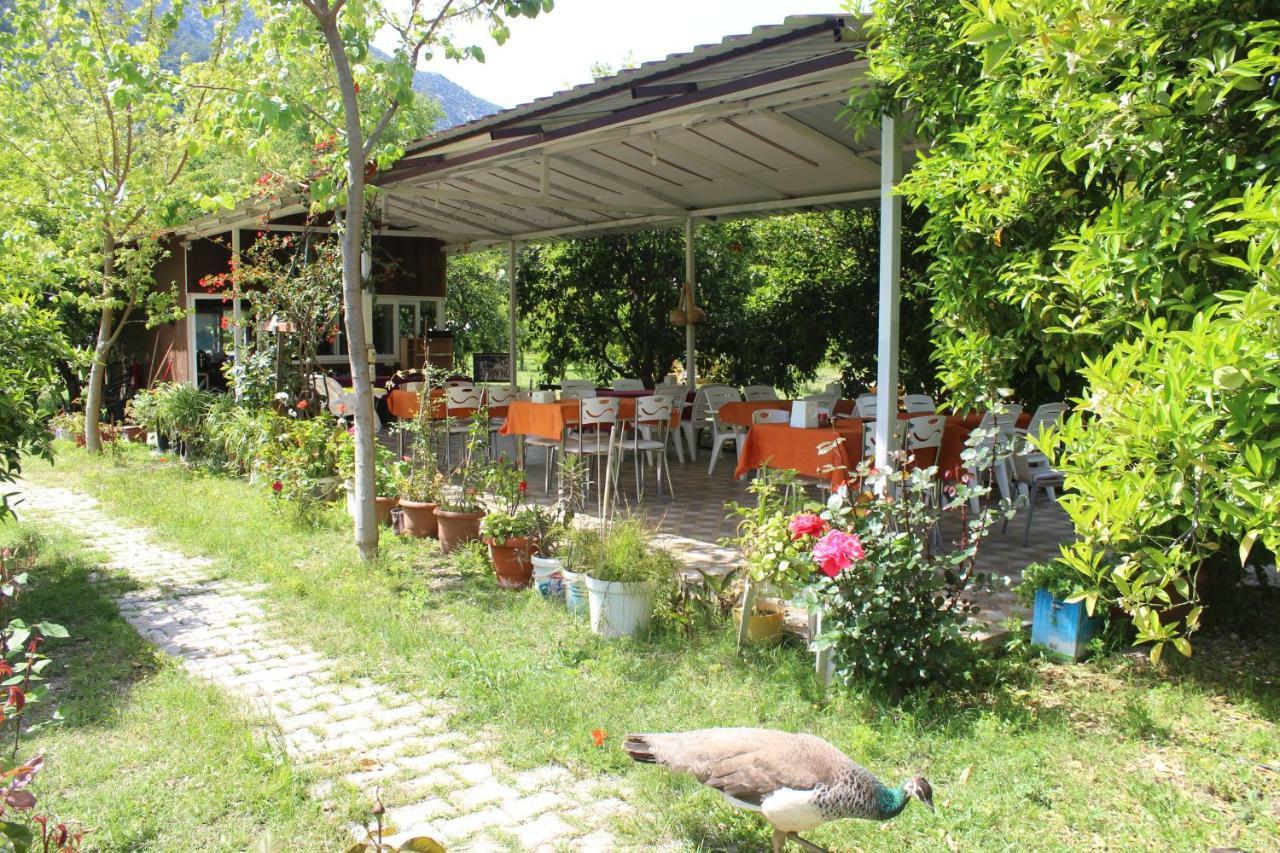 Sakli Bahce Pension Çıralı Exteriér fotografie