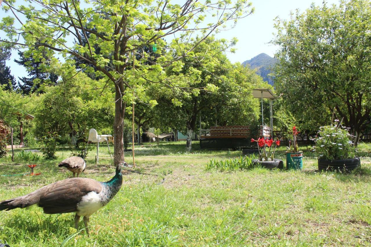 Sakli Bahce Pension Çıralı Exteriér fotografie
