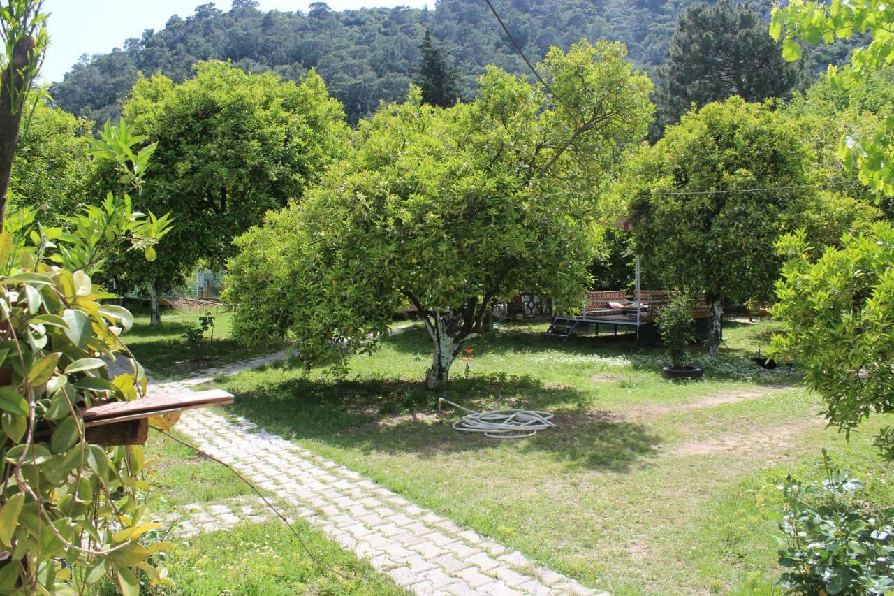 Sakli Bahce Pension Çıralı Exteriér fotografie
