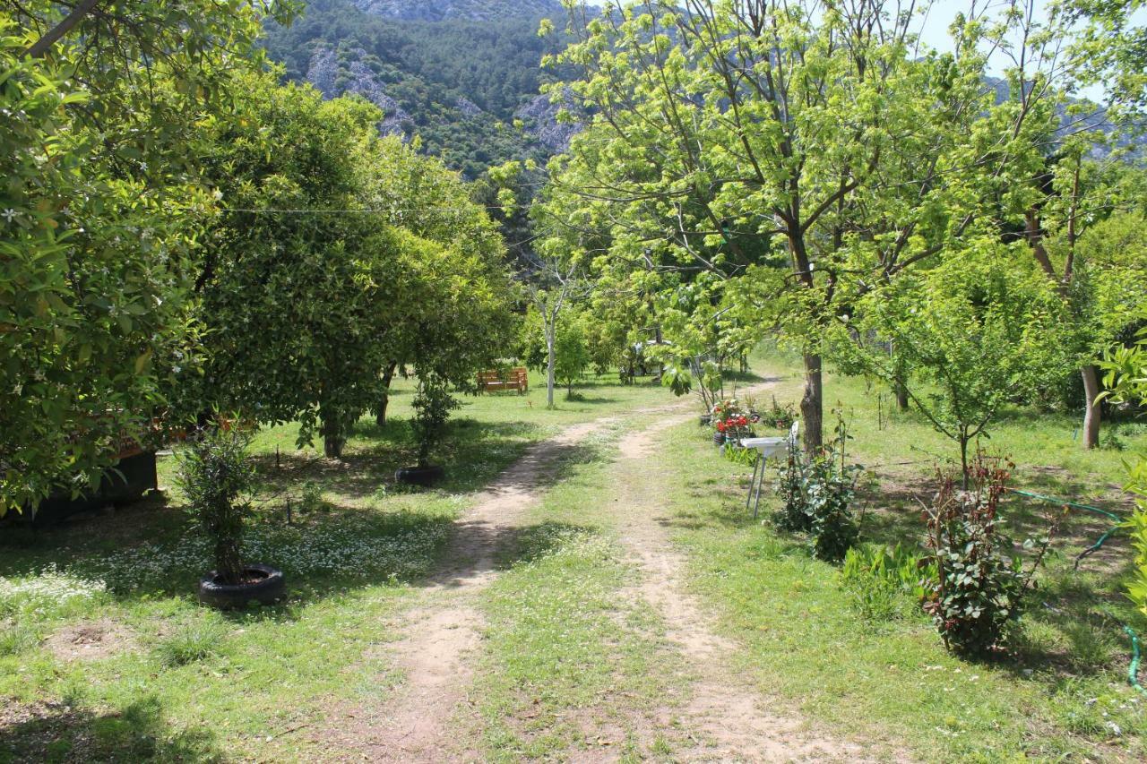 Sakli Bahce Pension Çıralı Exteriér fotografie