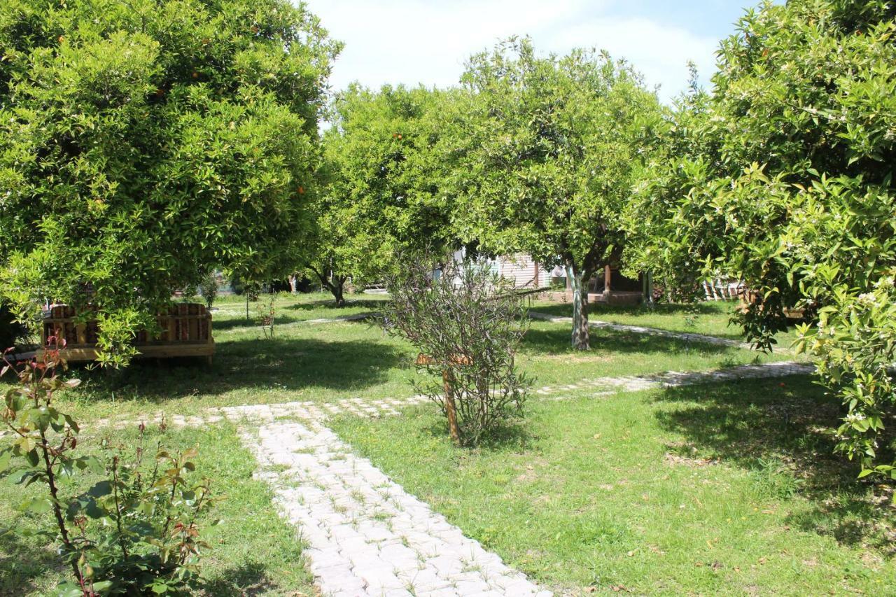 Sakli Bahce Pension Çıralı Exteriér fotografie