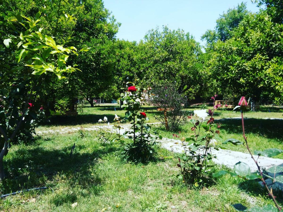 Sakli Bahce Pension Çıralı Exteriér fotografie