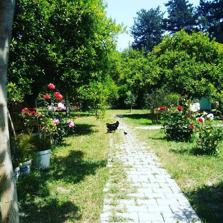 Sakli Bahce Pension Çıralı Exteriér fotografie